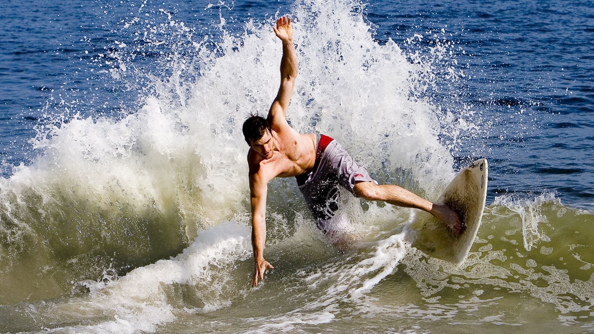 国际水下摄影大赛,探索海底奇观,中国水下摄影