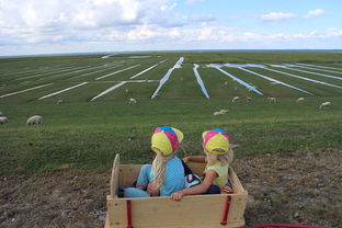 开云官网-青少年足球训练方法现代化，青少年足球技术